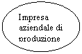 Oval: Impresa aziendale di produzione